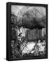 Essential Black