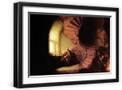 Black Frame