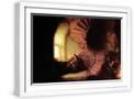 White Frame