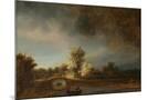 Wood Mount