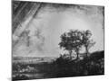 Wood Mount
