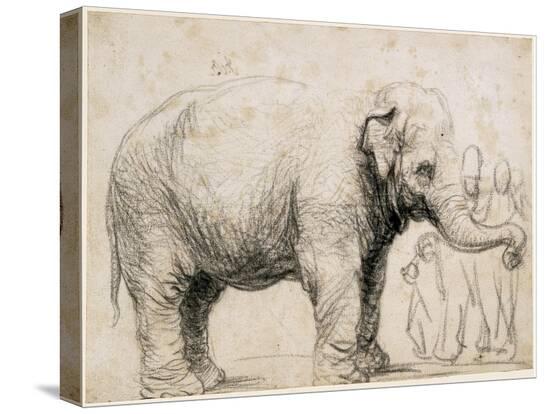 Stretched Canvas Print, , large