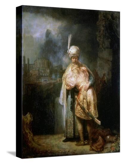 Stretched Canvas Print, , large