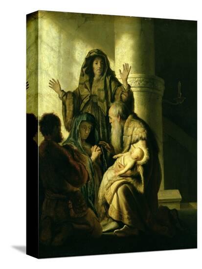 Stretched Canvas Print, , large