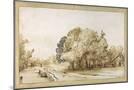 Wood Mount