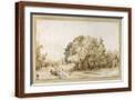 Brown Frame