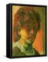 Rembrandt-Annick Gaillard-Framed Stretched Canvas