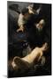 Rembrandt-null-Mounted Giclee Print