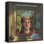 Remember Me, 2011-PJ Crook-Framed Stretched Canvas