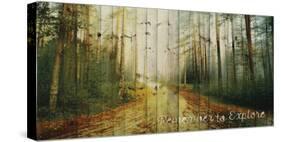 Remember to Explore-Andreas Stridsberg-Stretched Canvas