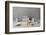 Remember-Christophe Verot-Framed Photographic Print