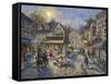 Rememberance-Nicky Boehme-Framed Stretched Canvas