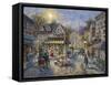 Rememberance-Nicky Boehme-Framed Stretched Canvas