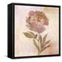 Remembered Flowers II-Judy Stalus-Framed Stretched Canvas