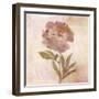 Remembered Flowers II-Judy Stalus-Framed Photographic Print