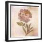 Remembered Flowers II-Judy Stalus-Framed Photographic Print