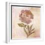 Remembered Flowers II-Judy Stalus-Framed Photographic Print