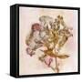 Remembered Flowers III-Judy Stalus-Framed Stretched Canvas