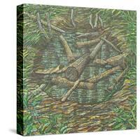 Remembered Pond, Forgotten Logs-Noel Paine-Stretched Canvas