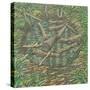 Remembered Pond, Forgotten Logs-Noel Paine-Stretched Canvas