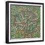 Remembered Pond, Forgotten Logs-Noel Paine-Framed Giclee Print