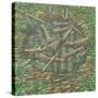 Remembered Pond, Forgotten Logs-Noel Paine-Stretched Canvas