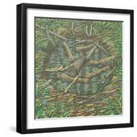 Remembered Pond, Forgotten Logs-Noel Paine-Framed Giclee Print