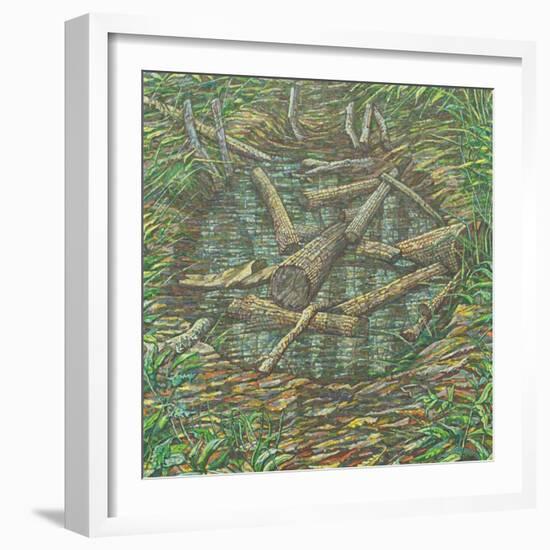 Remembered Pond, Forgotten Logs-Noel Paine-Framed Giclee Print