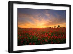 Remembrance Field of Hope, Poppy Field Near Upper Rissington, Cotswolds-Tony Inwood-Framed Photographic Print