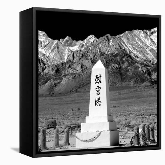Remembrance III BW-Douglas Taylor-Framed Stretched Canvas