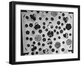 Remembrance Poppies-null-Framed Photographic Print
