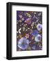 Remembrance-Muriel Verger-Framed Giclee Print