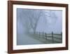 Remembrance-David Lorenz Winston-Framed Art Print