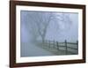 Remembrance-David Lorenz Winston-Framed Art Print