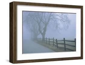 Remembrance-David Lorenz Winston-Framed Giclee Print