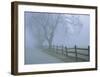 Remembrance-David Lorenz Winston-Framed Giclee Print