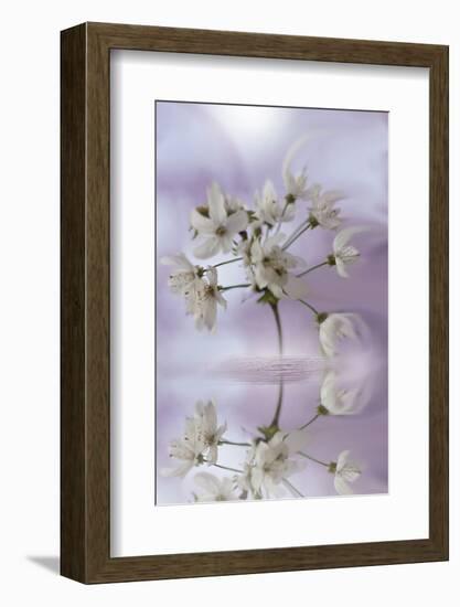 Reminiscence-Viviane Fedieu Daniel-Framed Photographic Print