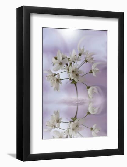 Reminiscence-Viviane Fedieu Daniel-Framed Photographic Print