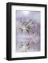 Reminiscence-Viviane Fedieu Daniel-Framed Photographic Print