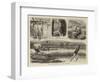 Reminiscences of a Wet Summer-null-Framed Giclee Print