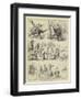 Reminiscences of the Nepaul Terai-null-Framed Giclee Print