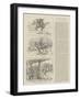 Reminiscenes of Omdurman-William T. Maud-Framed Giclee Print