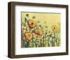 Reminiscing on a Summer Day-Jennifer Lommers-Framed Art Print