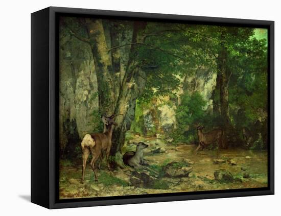 Remise de chevreuils au ruisseau de Plaisir-Fontaine. Deer reserve at Plaisir Fontaine, 1866-Gustave Courbet-Framed Stretched Canvas