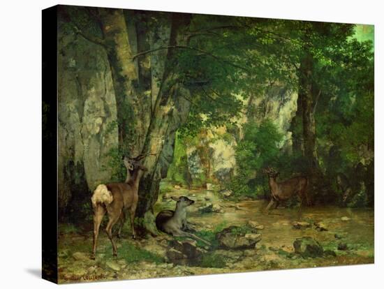 Remise de chevreuils au ruisseau de Plaisir-Fontaine. Deer reserve at Plaisir Fontaine, 1866-Gustave Courbet-Stretched Canvas