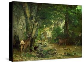 Remise de chevreuils au ruisseau de Plaisir-Fontaine. Deer reserve at Plaisir Fontaine, 1866-Gustave Courbet-Stretched Canvas