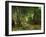 Remise de chevreuils au ruisseau de Plaisir-Fontaine. Deer reserve at Plaisir Fontaine, 1866-Gustave Courbet-Framed Giclee Print