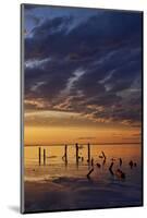 Remnants of an Old Pier Poke Out at the Great Salt Lake in Utah Near Saltair-Clint Losee-Mounted Photographic Print