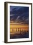 Remnants of an Old Pier Poke Out at the Great Salt Lake in Utah Near Saltair-Clint Losee-Framed Photographic Print