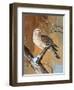 Remnants of Snow-Trevor V. Swanson-Framed Giclee Print